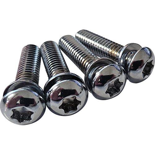 Strut to frame torx bolts FXBR/FLFB
